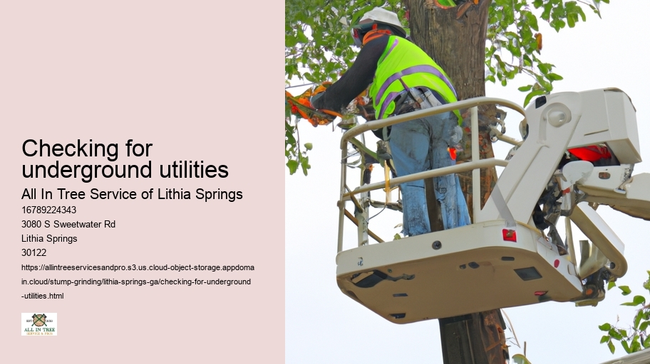 Checking for underground utilities