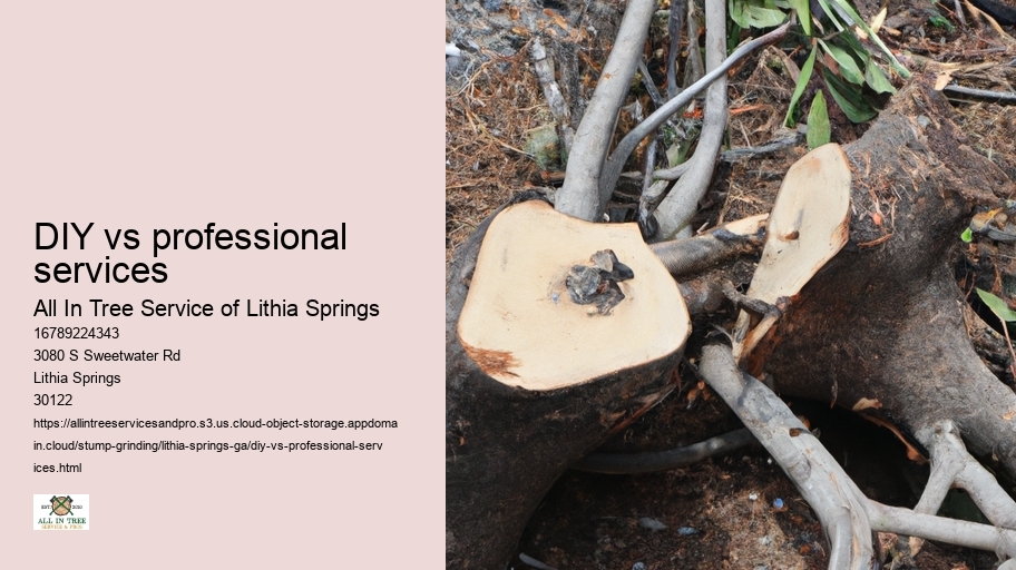 DIY vs professional services