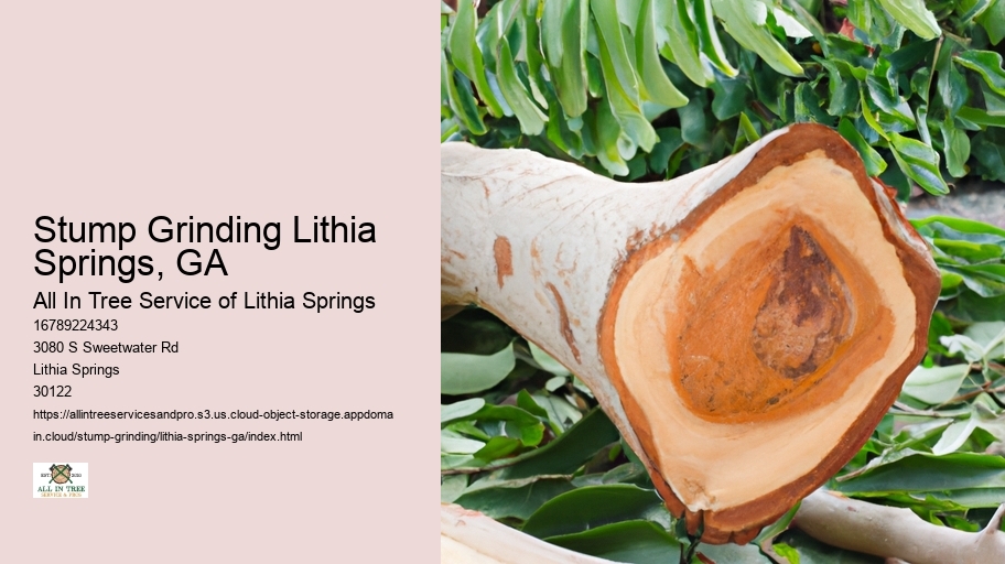 Stump Grinding Lithia Springs, GA