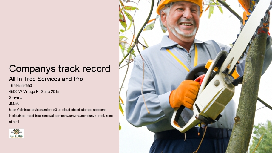 Companys track record