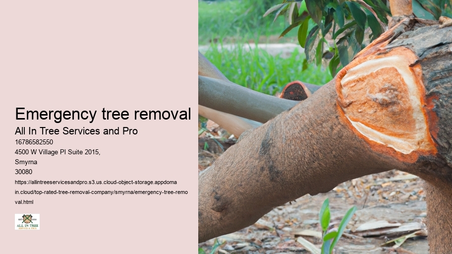 Emergency tree removal