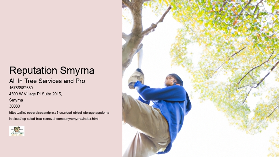 Reputation Smyrna