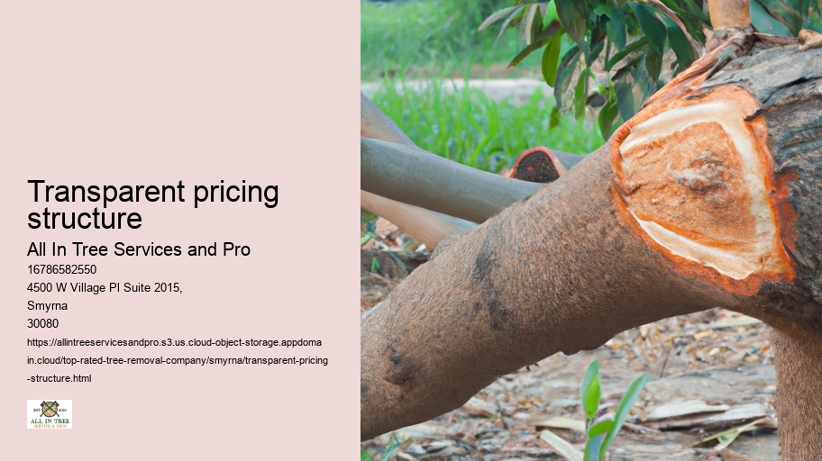 Transparent pricing structure