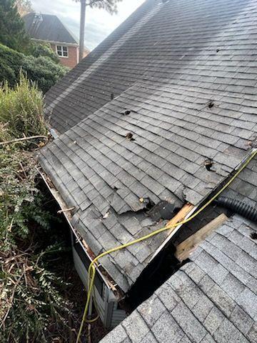 Tools for Pruning: Overview of tools like pruning shears, loppers, saws, and pole pruners, and guidelines on choosing the right tool for different branch sizes.