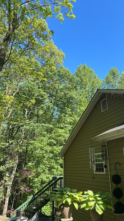 Techniques for achieving desired depth in grinding