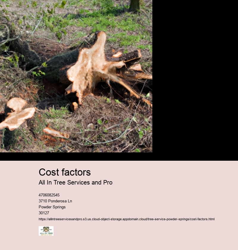 Importance of considering various cost factors