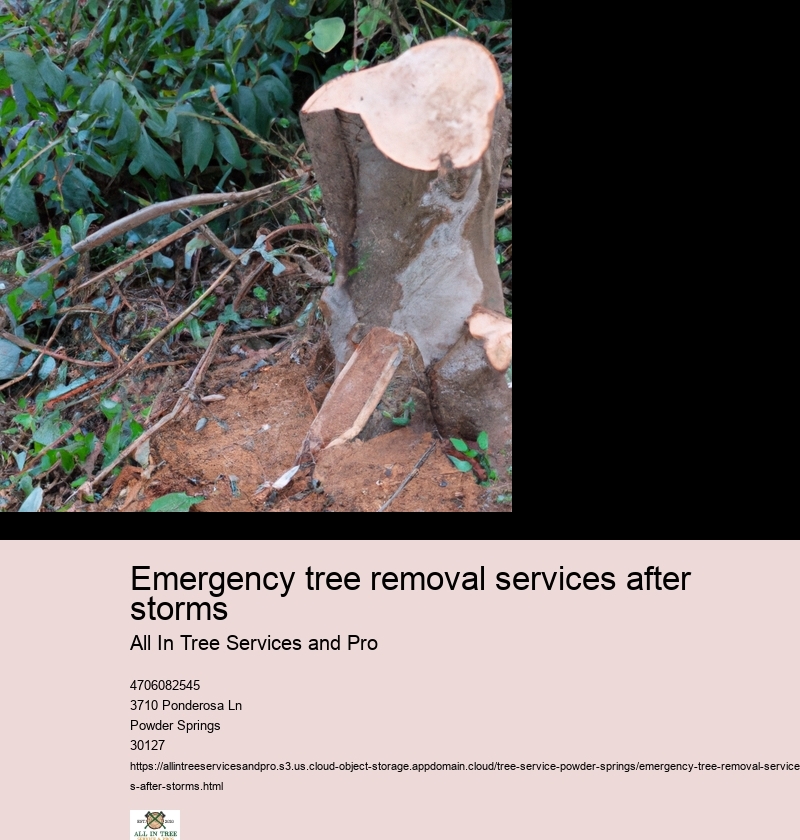 Importance of addressing fallen or damaged trees quickly after a storm