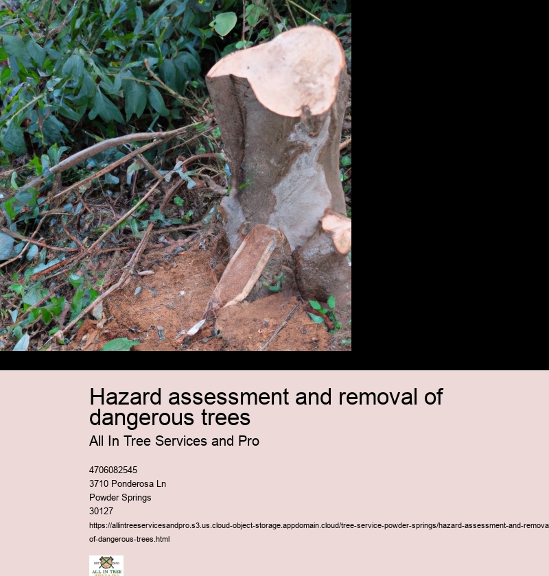 Identifying Hazardous Trees: Key Features and Warning Signs