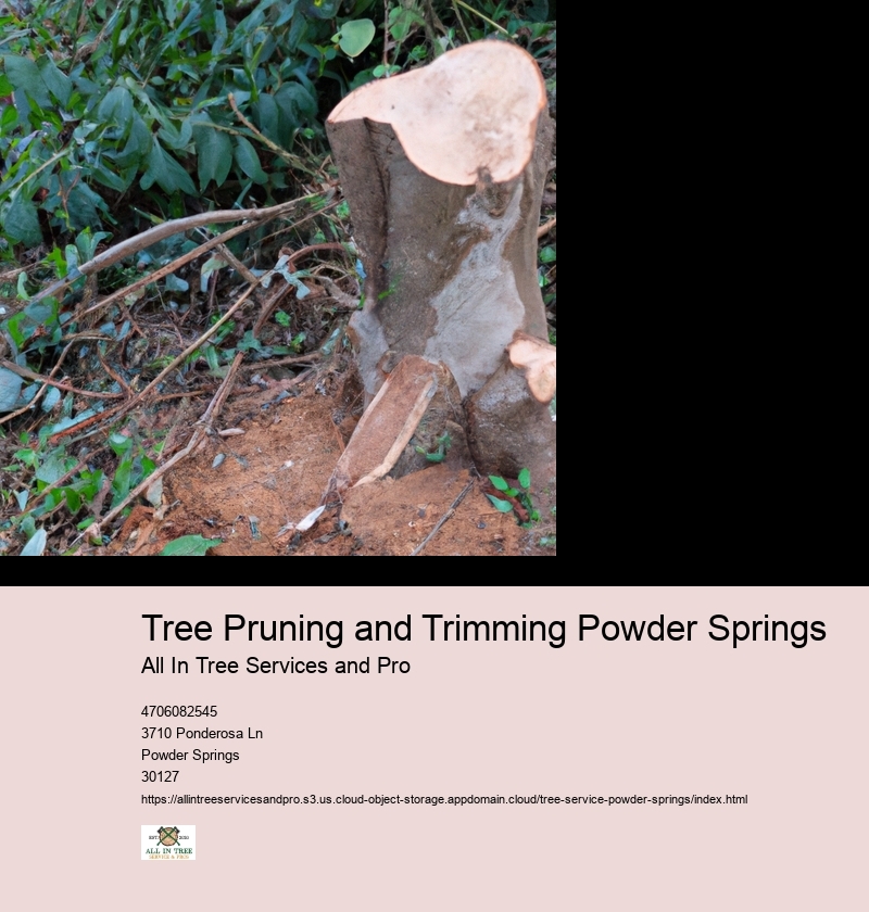 Overview of the importance and benefits of tree pruning and trimming for health and aesthetics.