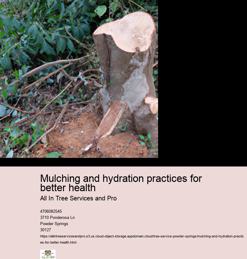 Types of Mulches: Organic vs Inorganic Options