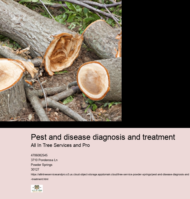Overview of the importance of diagnosing and treating pests and diseases for crop health and yield.