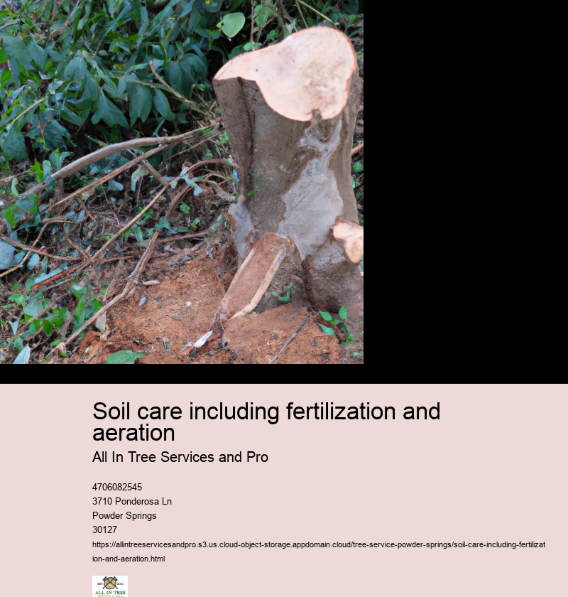 Understanding Soil Types and Their Specific Needs