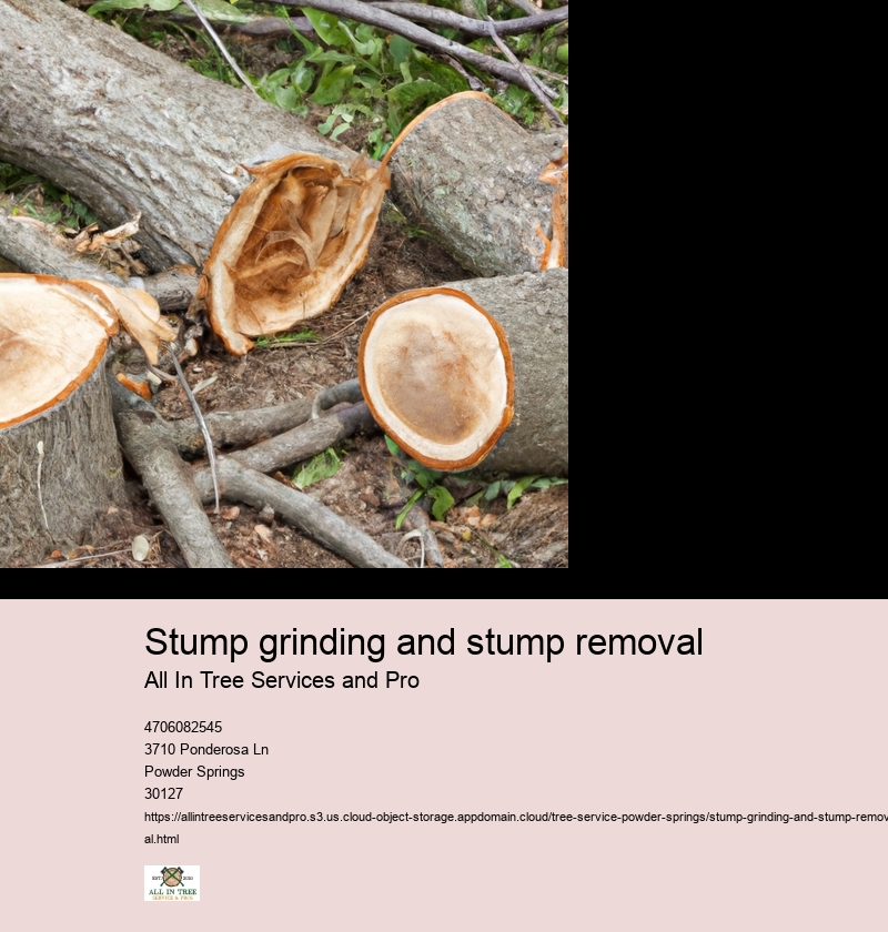 Reasons for Removing Tree Stumps: Discussing the aesthetic, safety, and health reasons that make stump removal necessary.