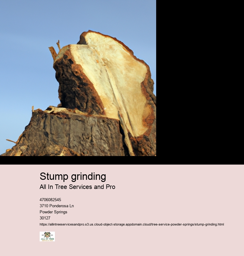 Benefits of stump grinding