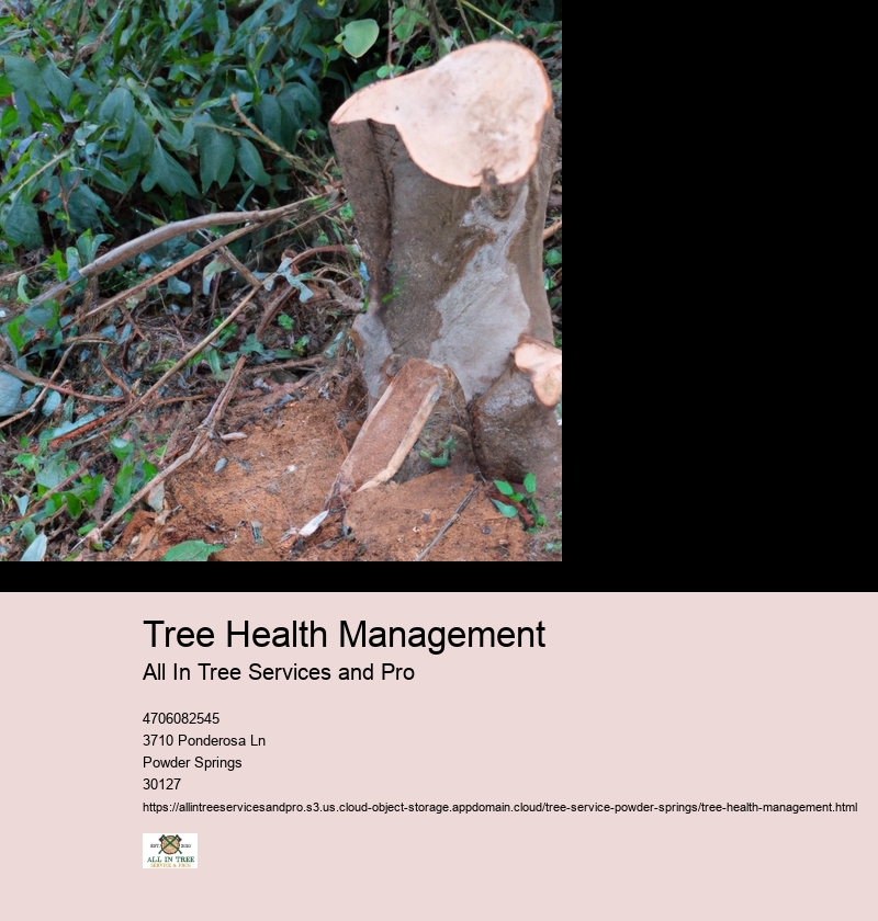 Understanding Tree Biology: Key Factors Influencing Tree Health