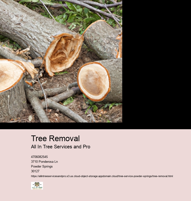 Legal Considerations: Discussing the importance of checking local regulations and obtaining necessary permits before proceeding with tree removal.