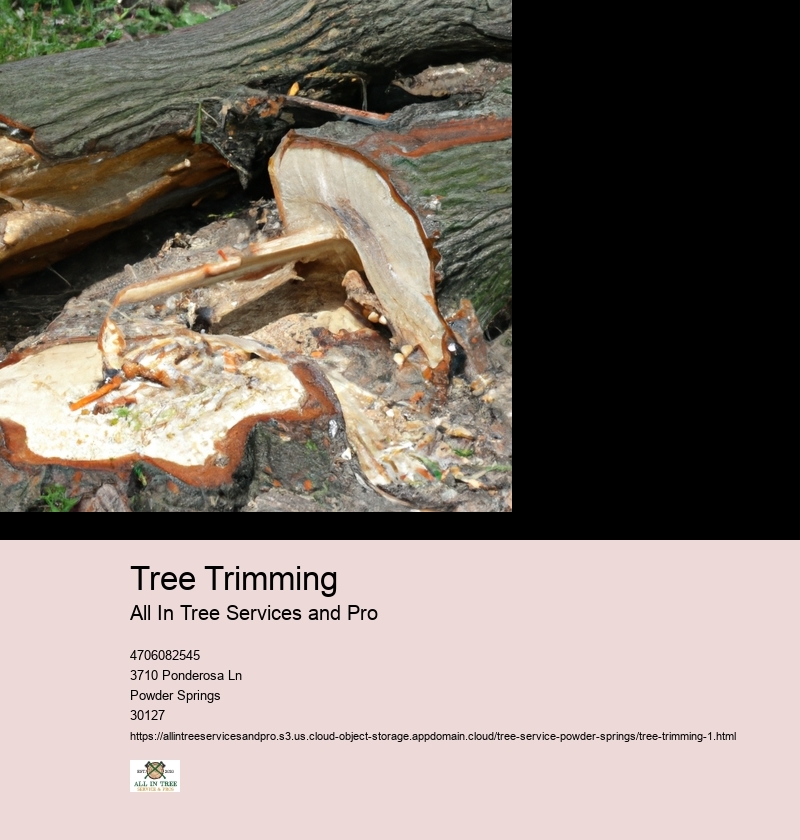 Importance of regular tree trimming