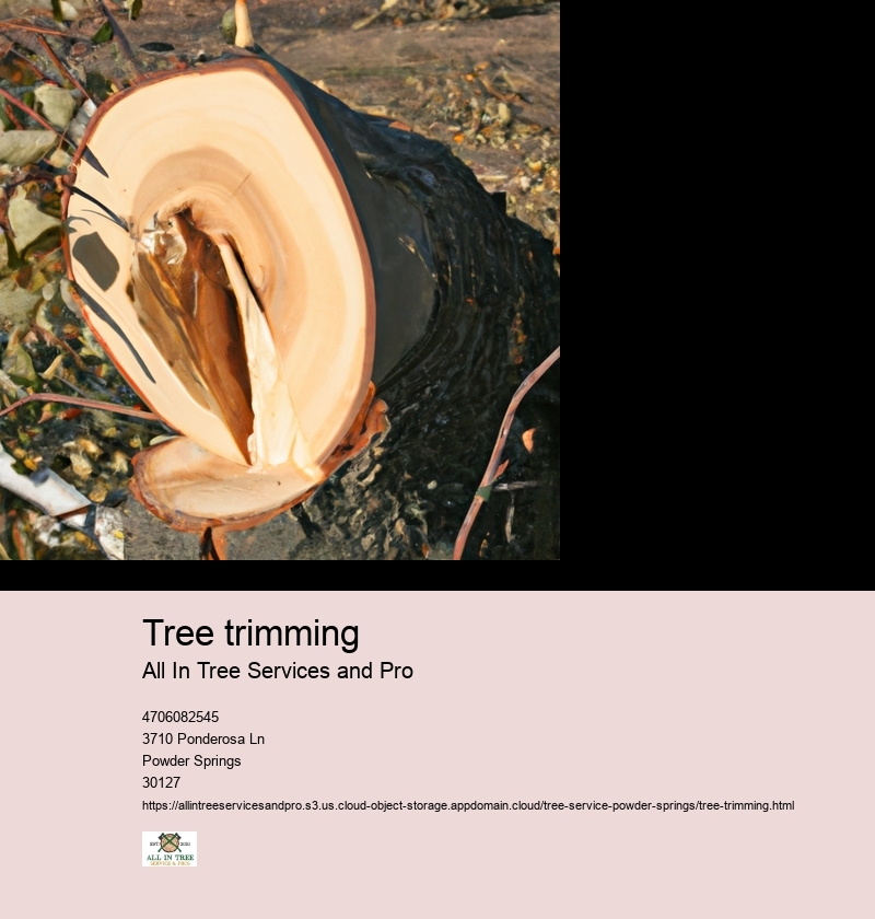 Benefits of regular tree trimming