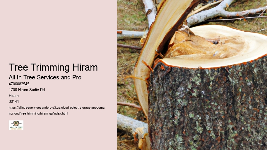 Tree Trimming Hiram