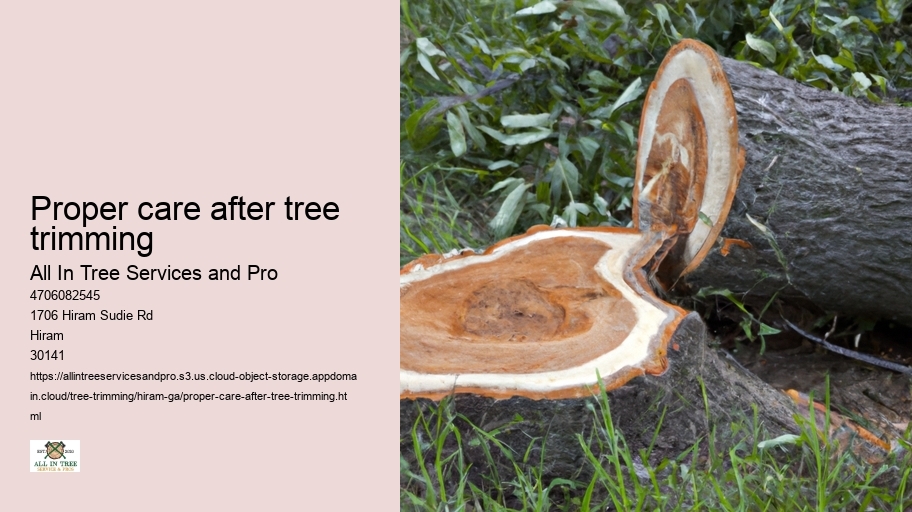Proper care after tree trimming