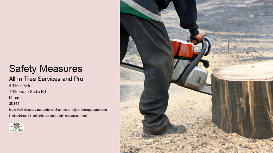 Safety Measures