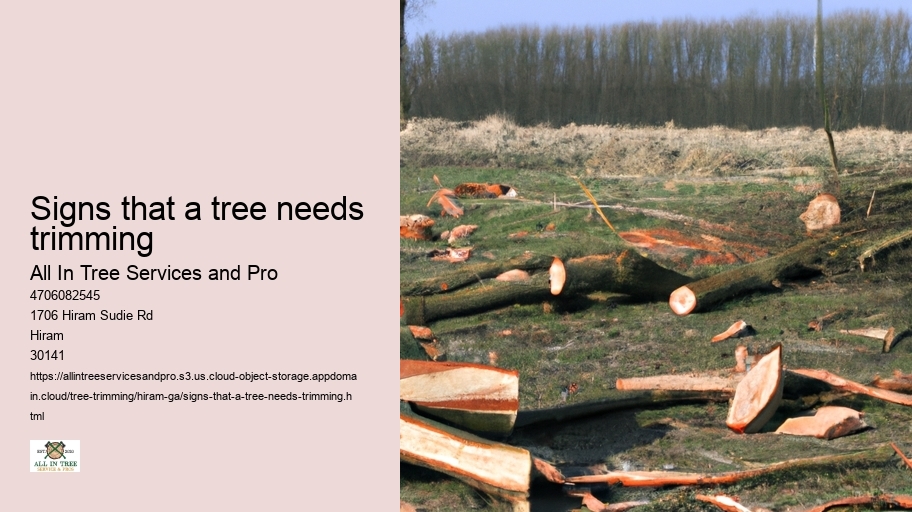 Signs that a tree needs trimming