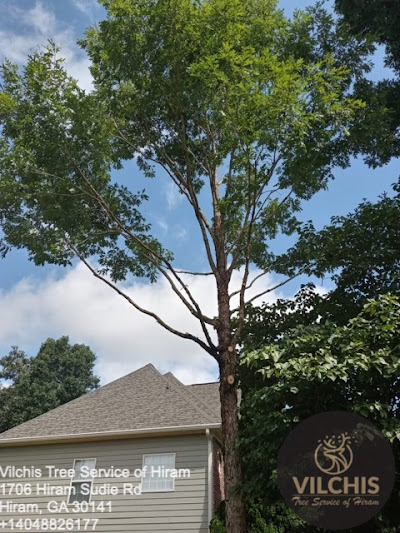 Viral diseases and their impact on tree populations