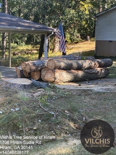 Pole saws
